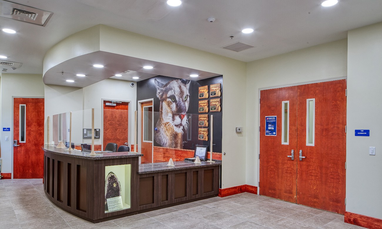 School reception area with secure entry doors